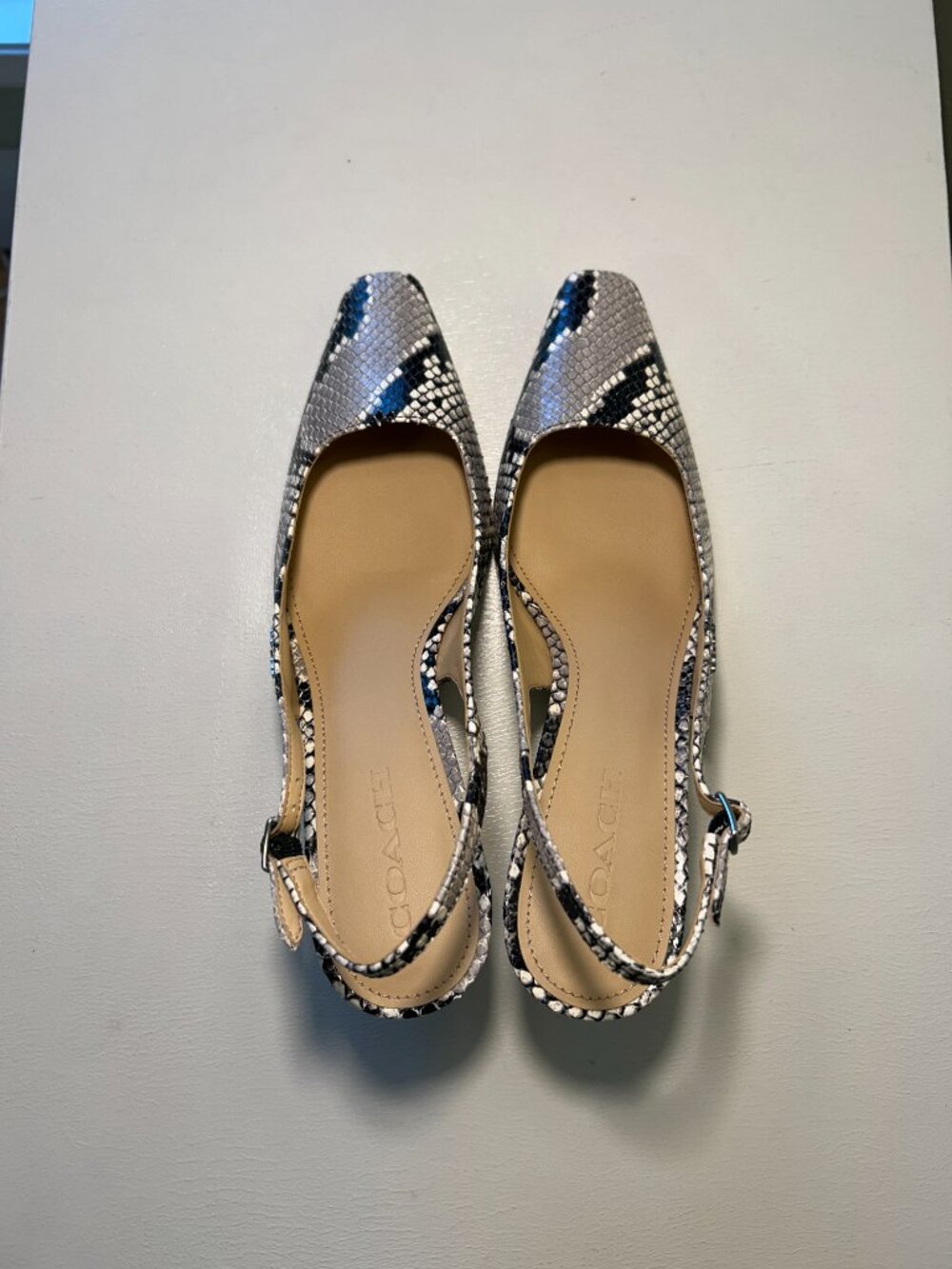 Coach Women's Slingback Heel With Snake Print - Picture 10 of 14